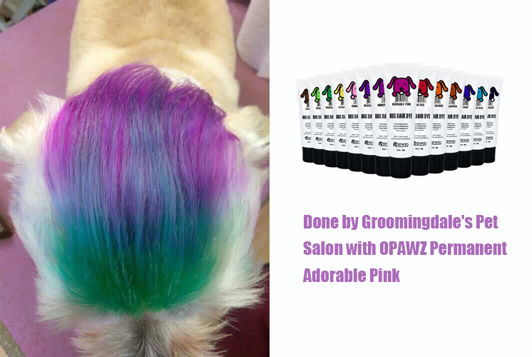 Groomingdale's Pet Salon with OPAWZ Permanent Dye