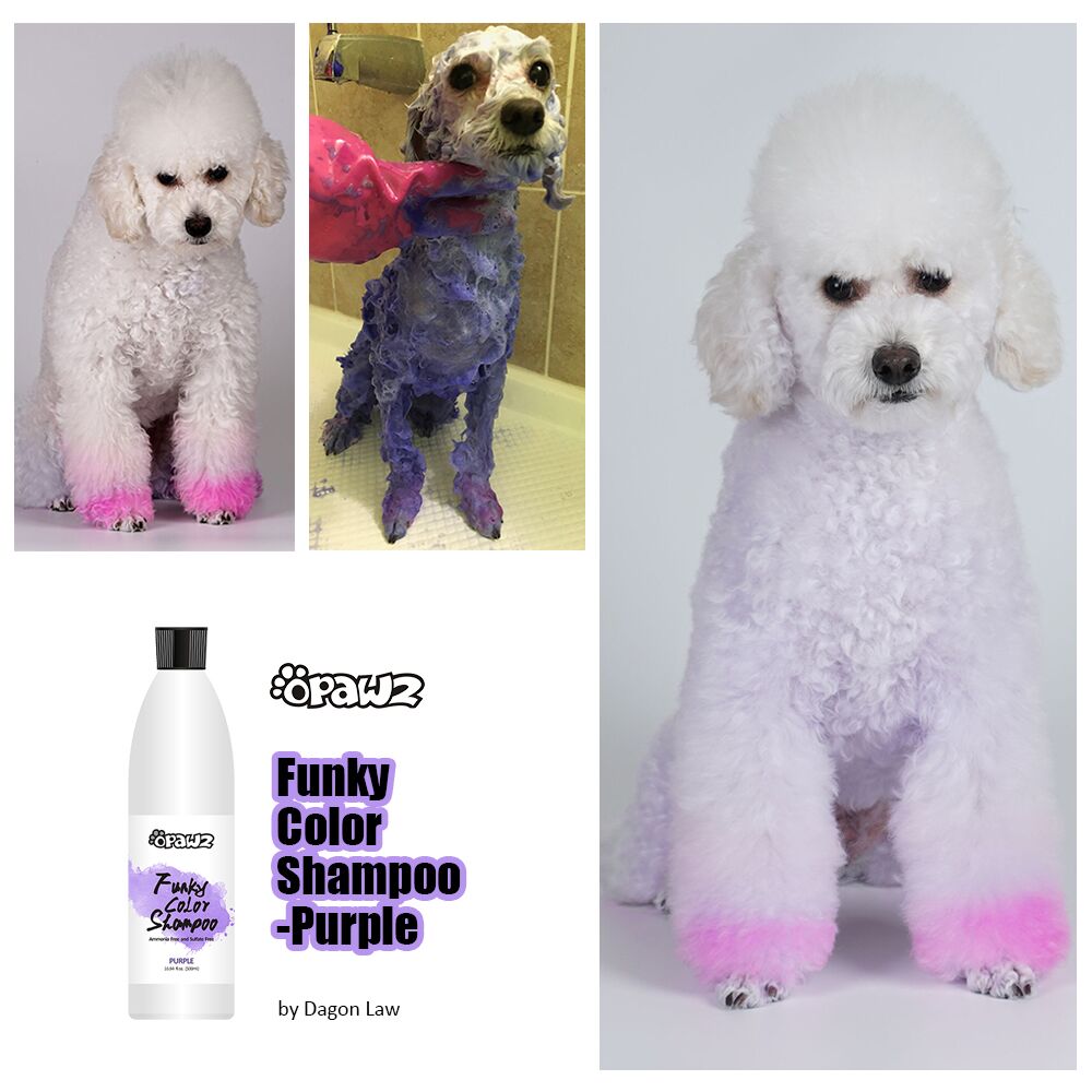 Funky Color Shampoo Purple