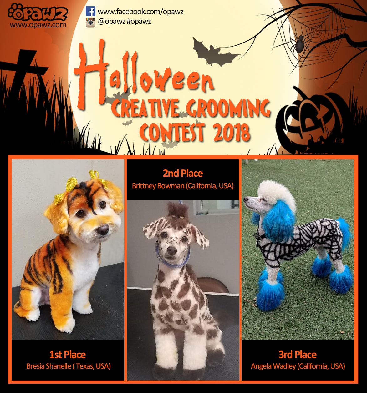 OPAWZ halloween contest 2018