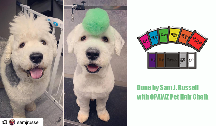 Sam J. Russell with OPAWZ Pet Hair Chalk