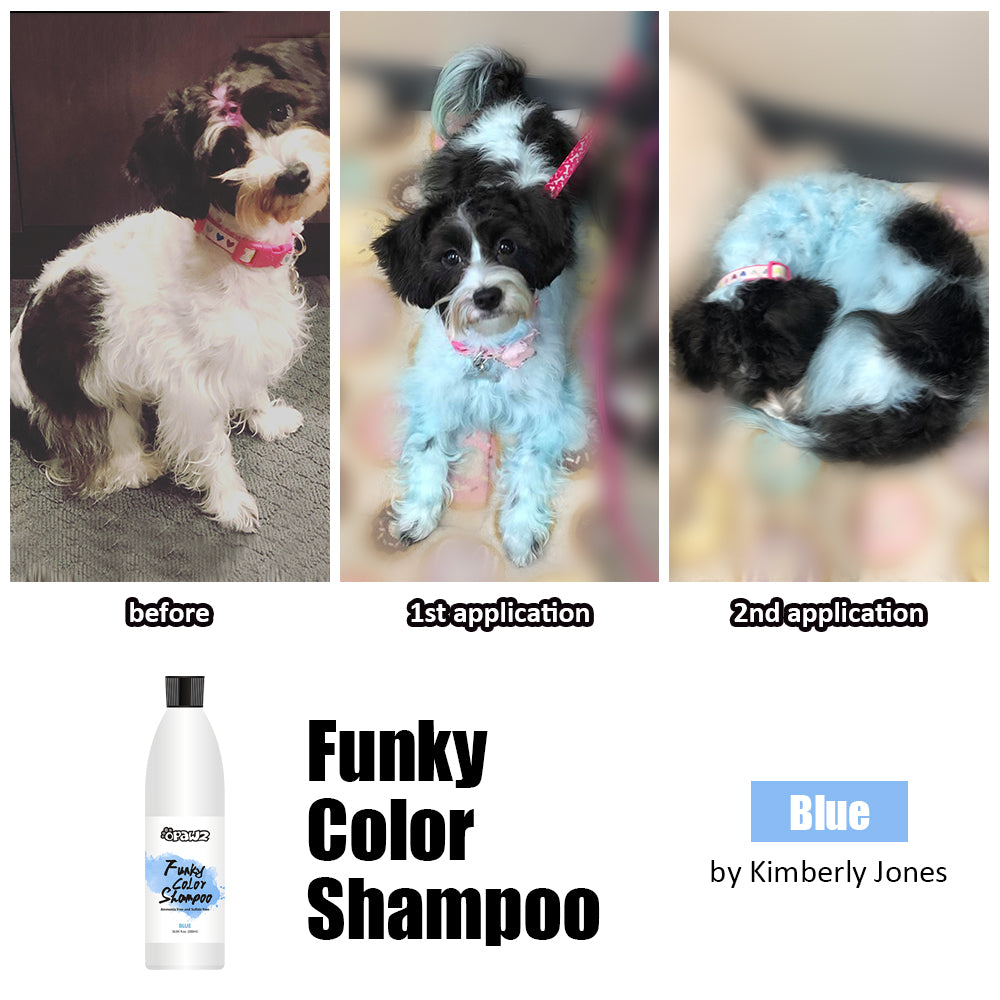 Funky Shampoo Color 2nd application 