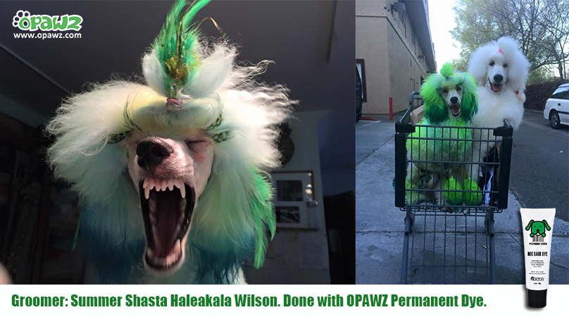 Summer Shasta Haleakala Wilson with OPAWZ Permanent Dye