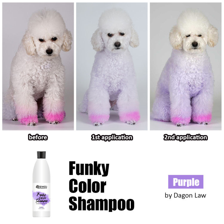 Funky Color Shampoo 2nd application purple