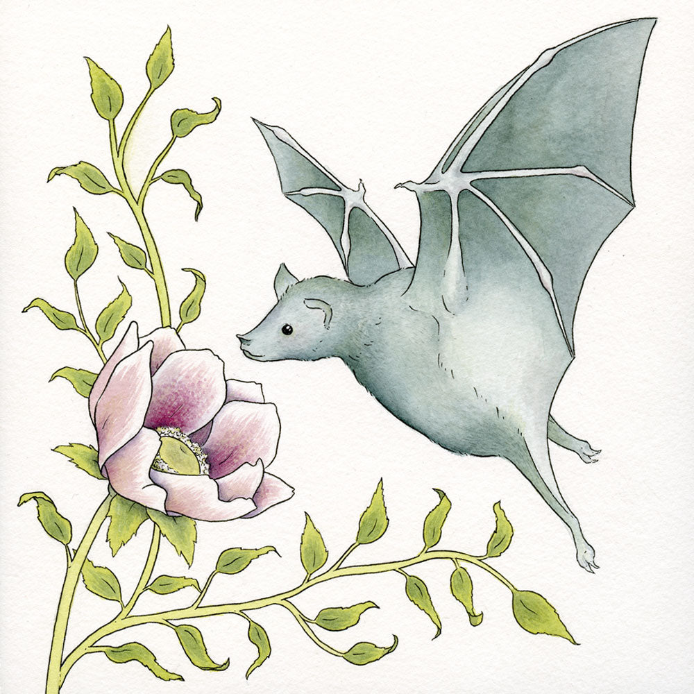 Bat Study