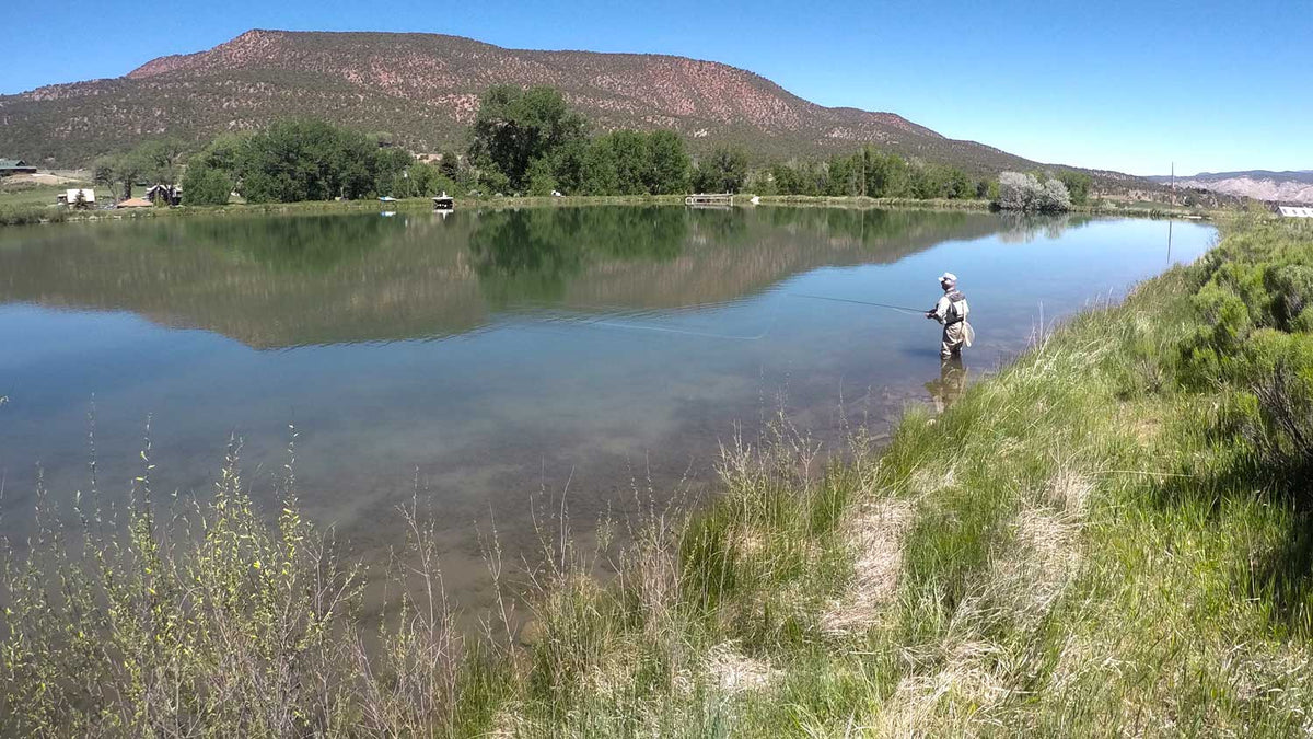 Learn to Catch Trout Fly Fishing Lakes, Stillwaters, Ponds and Lochs-NC