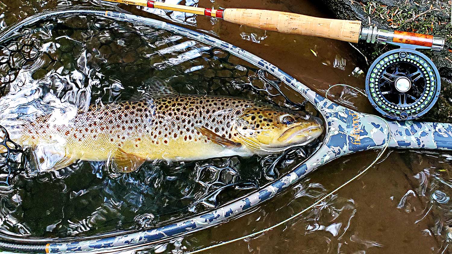 Find The Best Size And Weight Fly Rod Trout To Tarpon, 42% OFF