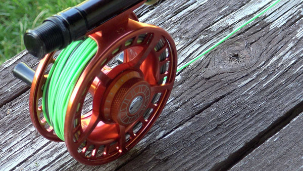 Fly Line on Fly Reel