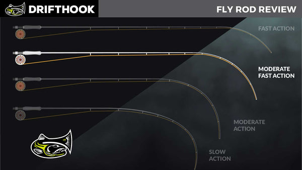 Fly Fishing Rod - Action Graphic