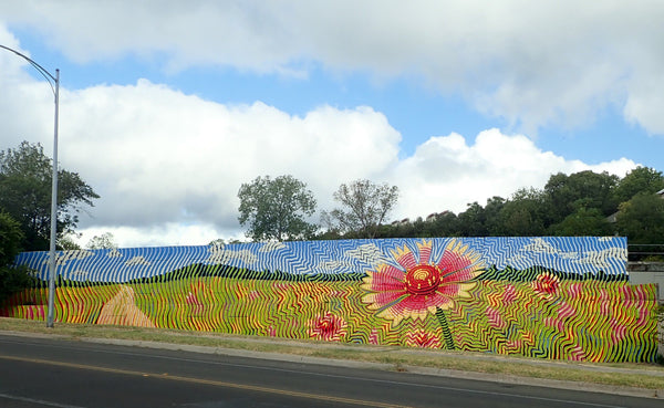 Tavis mural wildflower meadow artwork color halftone spraypaint