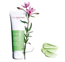 Clarins Pure Scrub