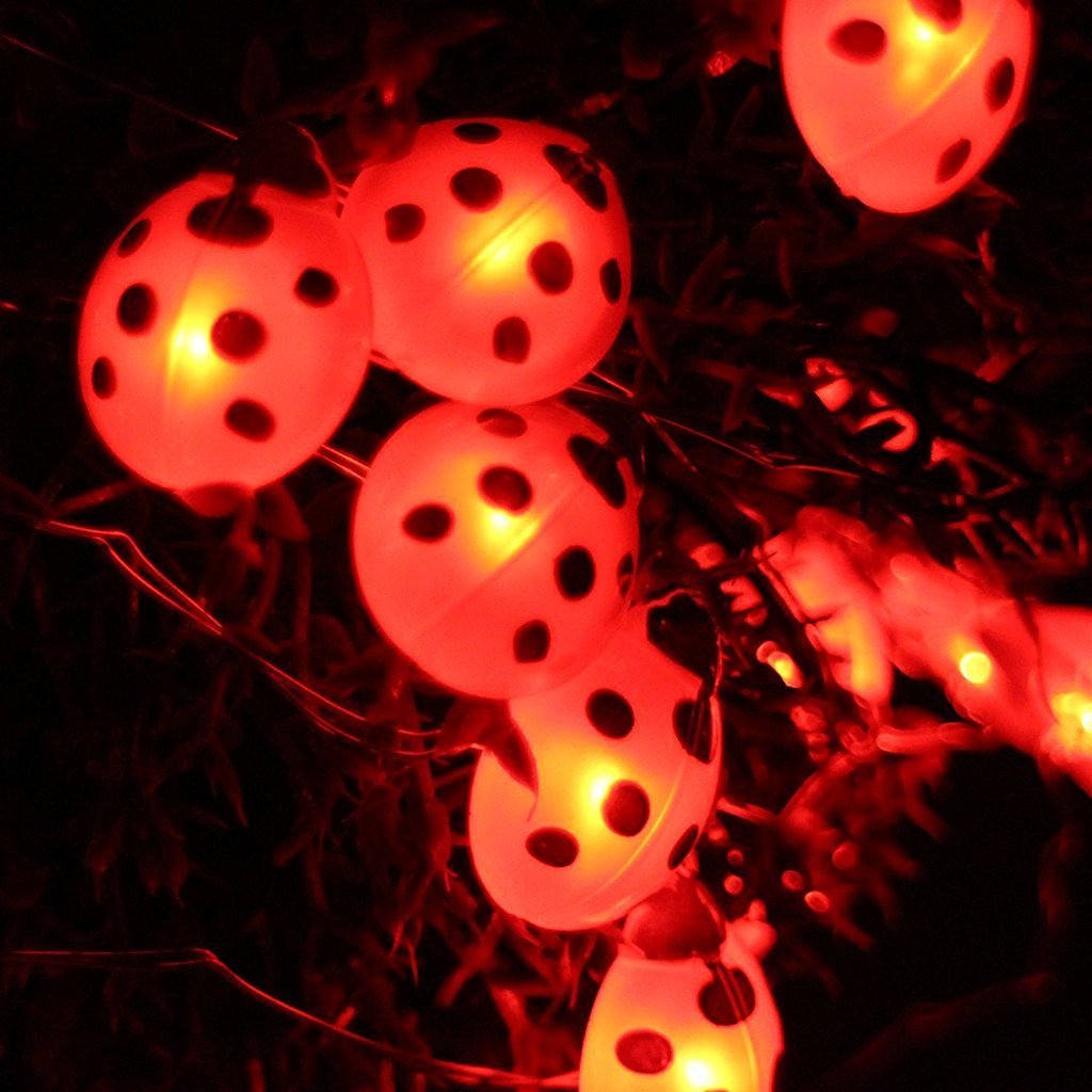 ladybug string lights