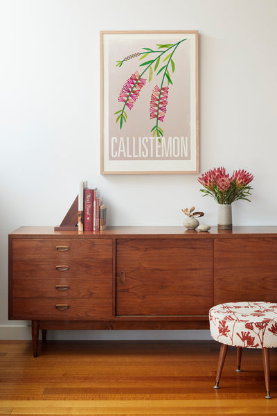 Callistemon Fine Art Print