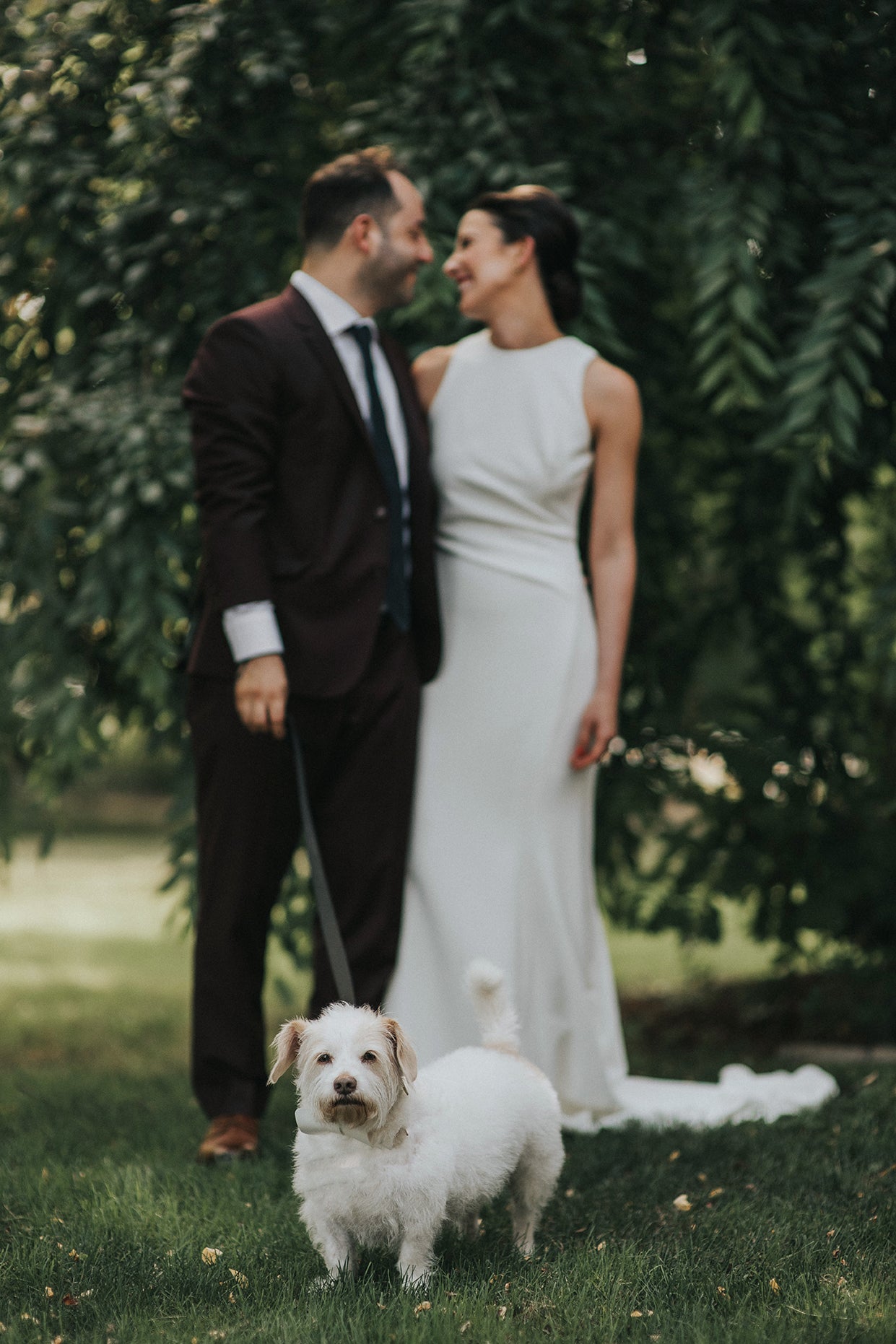 Man and woman holding dog on a leash