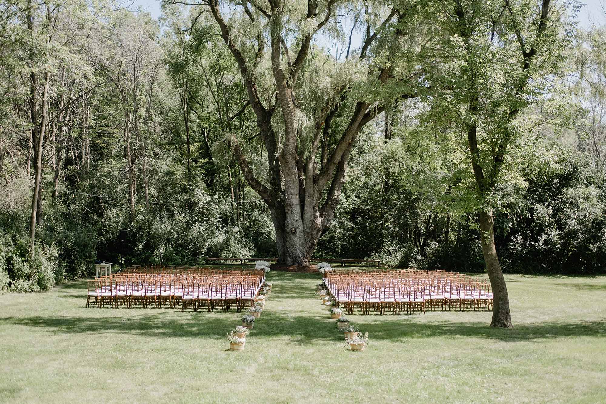 Cedarburg, Wisconsin Outdoor Wedding Ceremony Woods