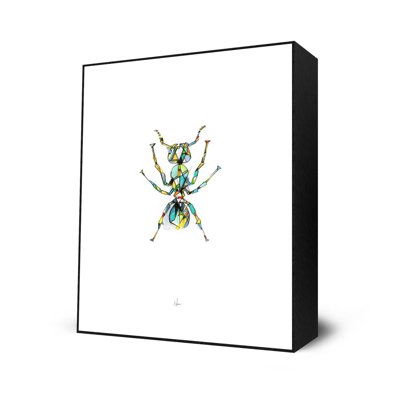 Ant
