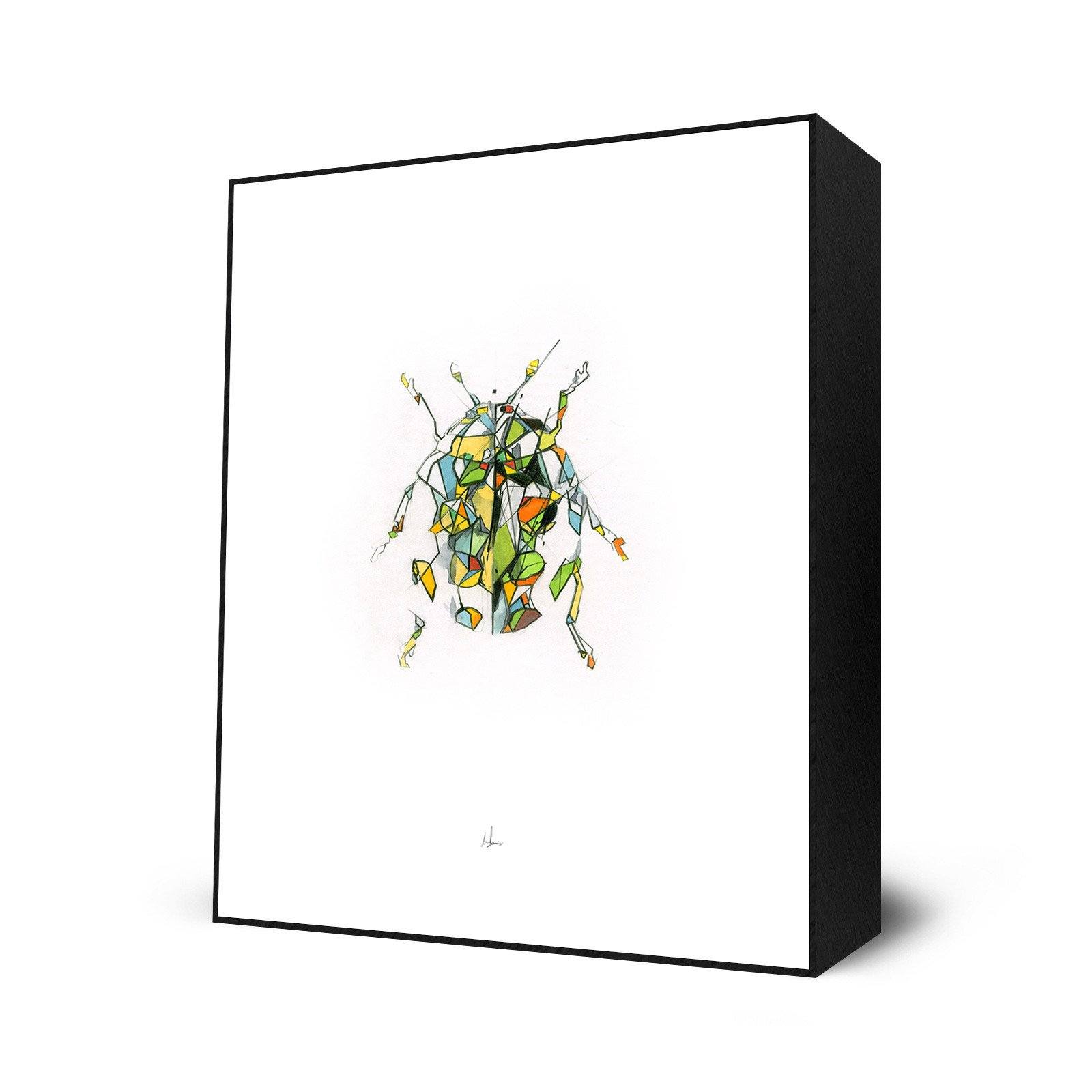 Ladybird