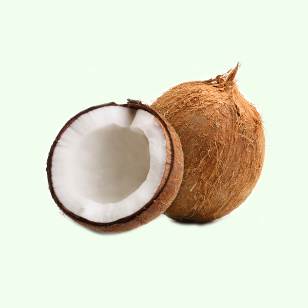 coconut love 
