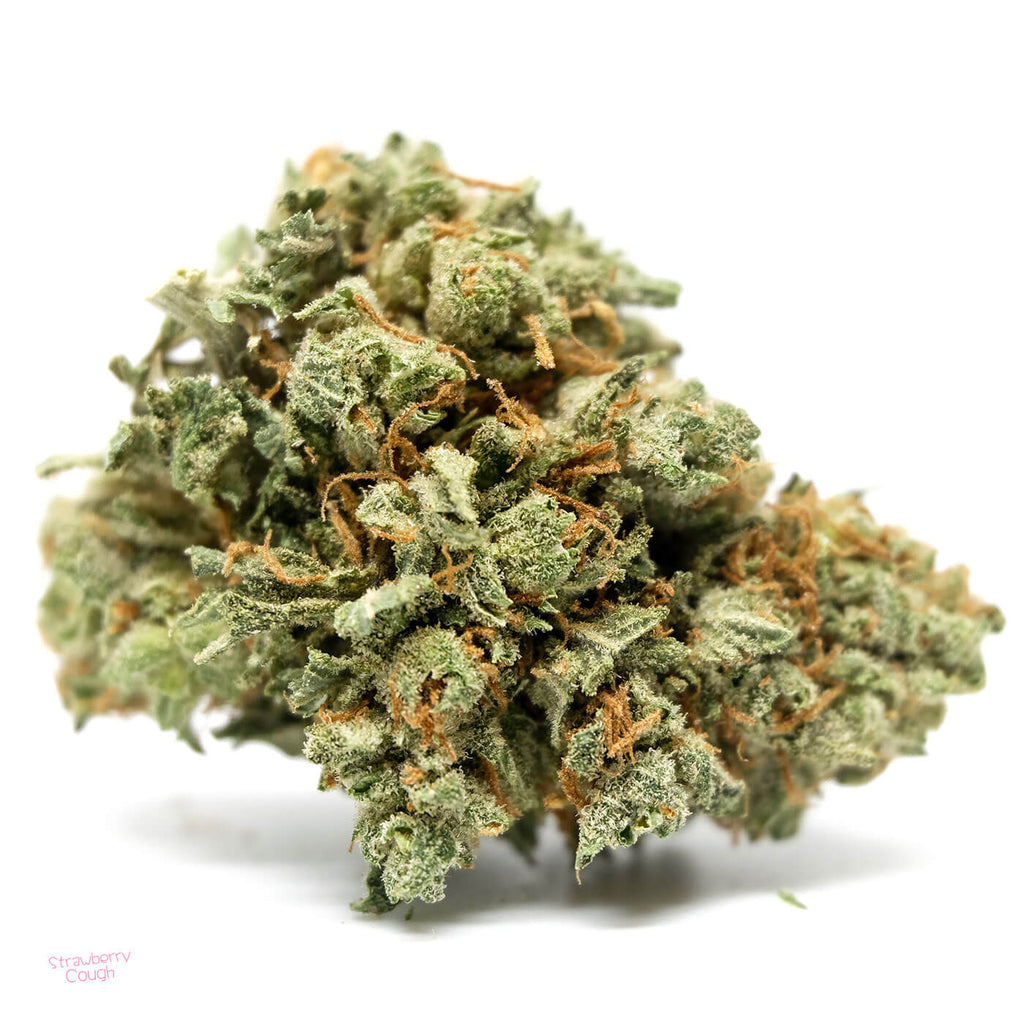 Strawberry Cough Bud: Image Credits: Buy Me Weed Online