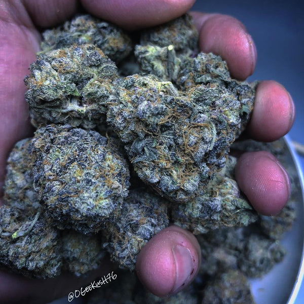 Animal Cookies nug marijuana weed