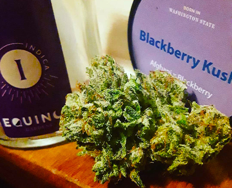 Blackberry Kush cannabis buds and dispensary packaging, image from Equinox_Wa_Gardens on Instagram