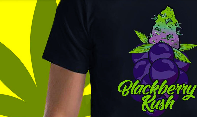 Blackberry-Kush T-shirt, image from ILGM Shirts on Instagram