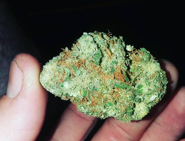 blue dream cannabis weed nug