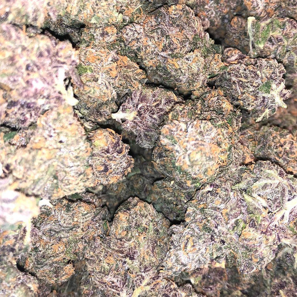 purple kush weed nugs