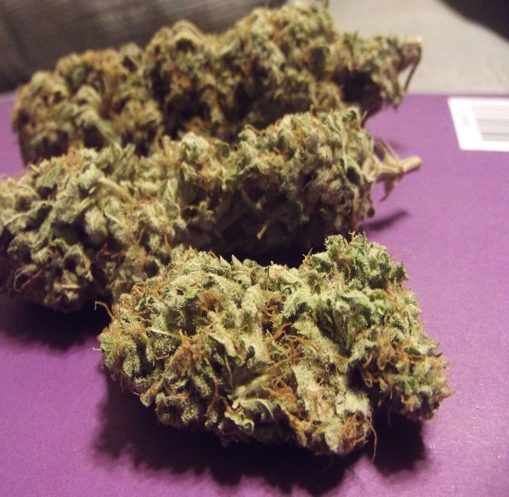Sour Diesel medical marijuana 