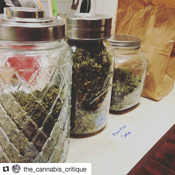 cure cannabis weed jar