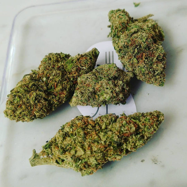 green crack sativa cannabis