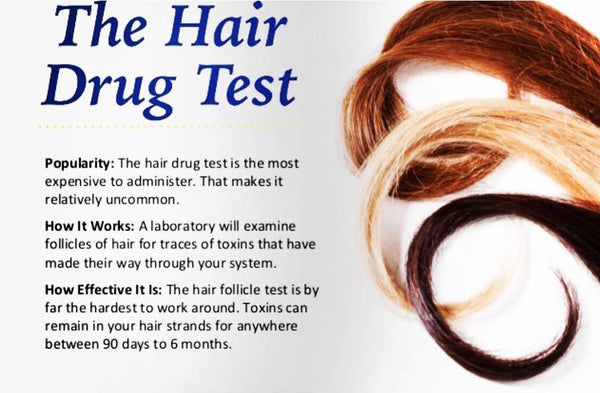 hair drug test