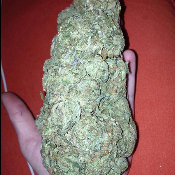 orange kush hybrid smoke