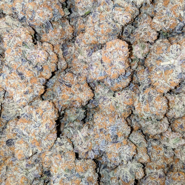 purple dream cannabis nug pile