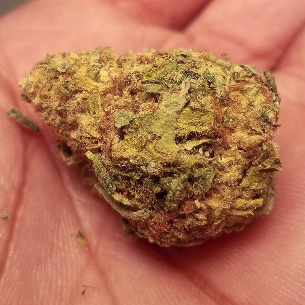 sour tangie nug smoke cannabis