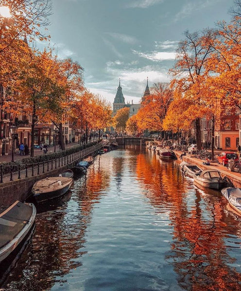 weed amsterdam fall smoke travel