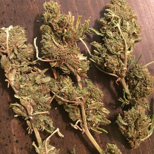 weed ditch marijuana
