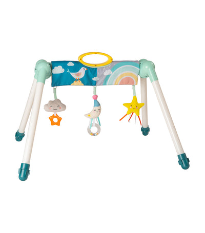 taf toys 2-in-1 mini moon take to play baby gym