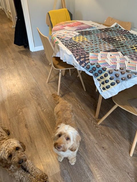 Cockapoo dog fabric
