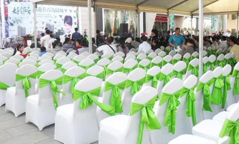 Polyester Chair Covers