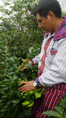 Fair Trade farmer with coffee plant