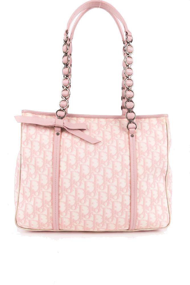 dior trotter bag pink