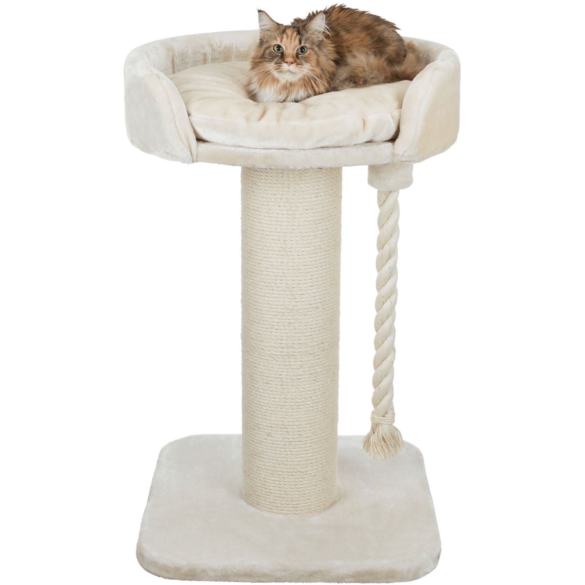 large cat scratching post