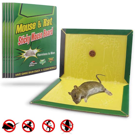 1 Pcs Mouse Trap Glue Pad, Sticky Rat Mouse Board, Mouse Rat Snake Bug –  Eveen - Delivering the Best for Less!