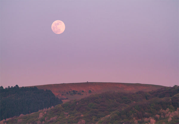 The Meaning of Each Seasonal Full Moon