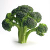 broccoli fights cancer