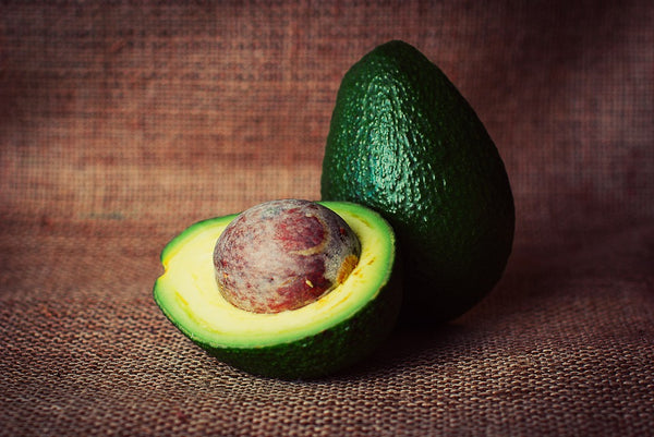 Avocado is toxic for dogs