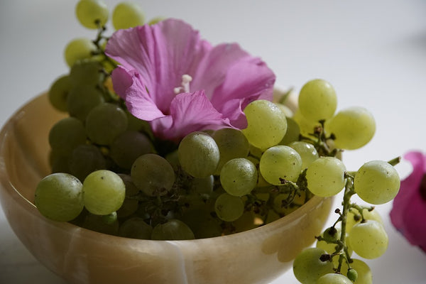 Grapes are toxic for dogs