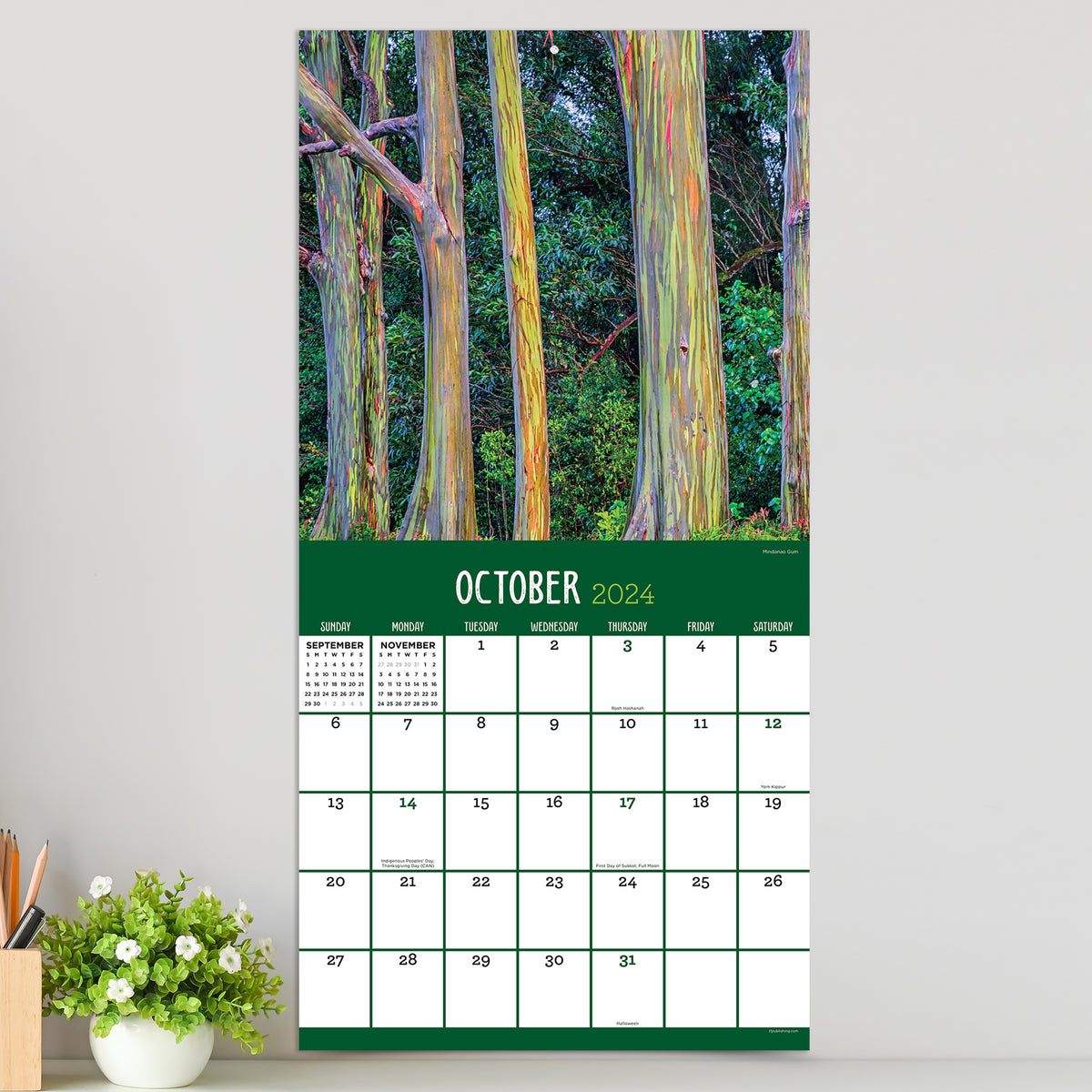 2024 Trees Wall Calendar TF Publishing Calendars + Planners