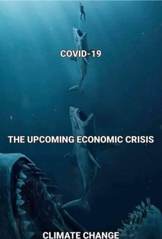 human, being eatern by Covid 19 shark, being eaten by a recession shark, being eaten by climate change shark