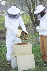 backyard beekeeping